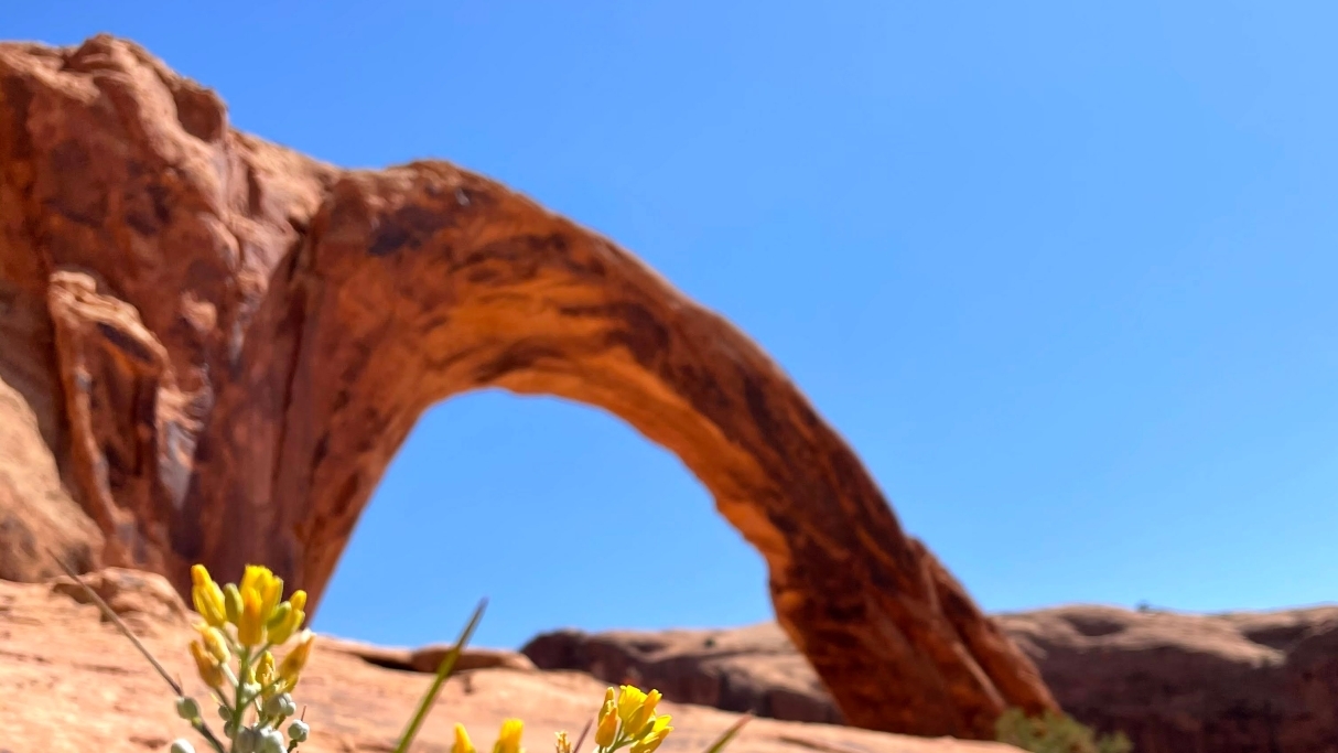 Arches National Park, Moab