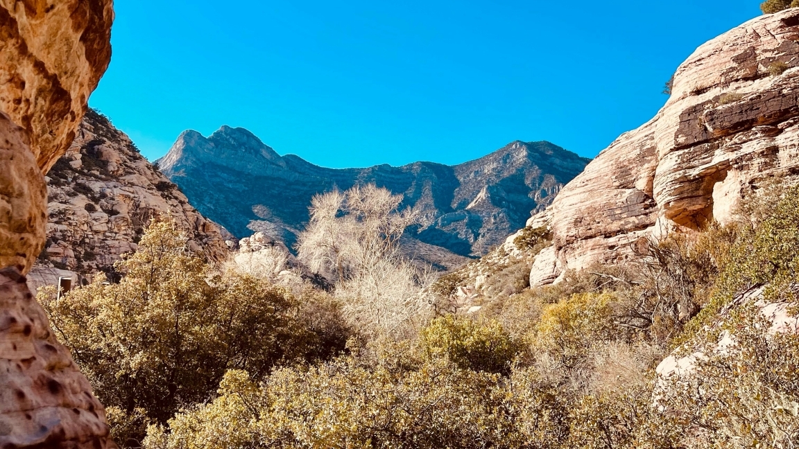 Image of Red Rock Canyon, Nevada.