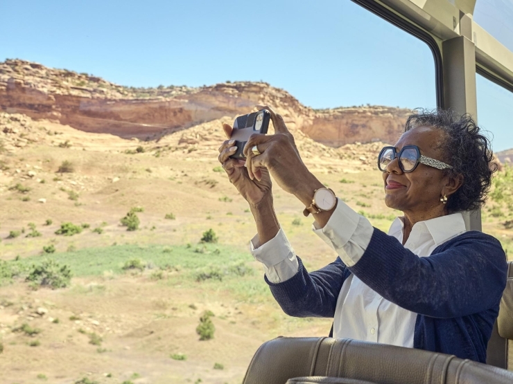 Panoramic windows