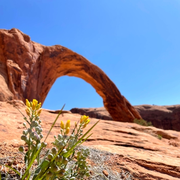 Arches National Park, Moab
