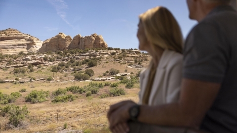 Image of guest looking towards a canyon from train